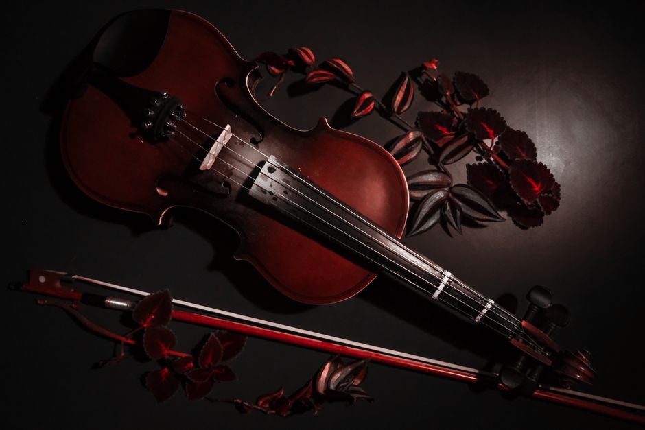 Photograph of a viola